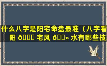 什么八字是阳宅命盘最准（八字看阳 🐛 宅风 🌻 水有哪些技巧）